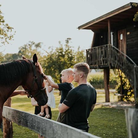 Treehouse Drevesna Hiska Strkovo Gnezdo Ranc Jures Hotel Ljutomer Ngoại thất bức ảnh