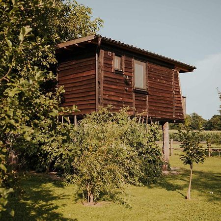 Treehouse Drevesna Hiska Strkovo Gnezdo Ranc Jures Hotel Ljutomer Ngoại thất bức ảnh
