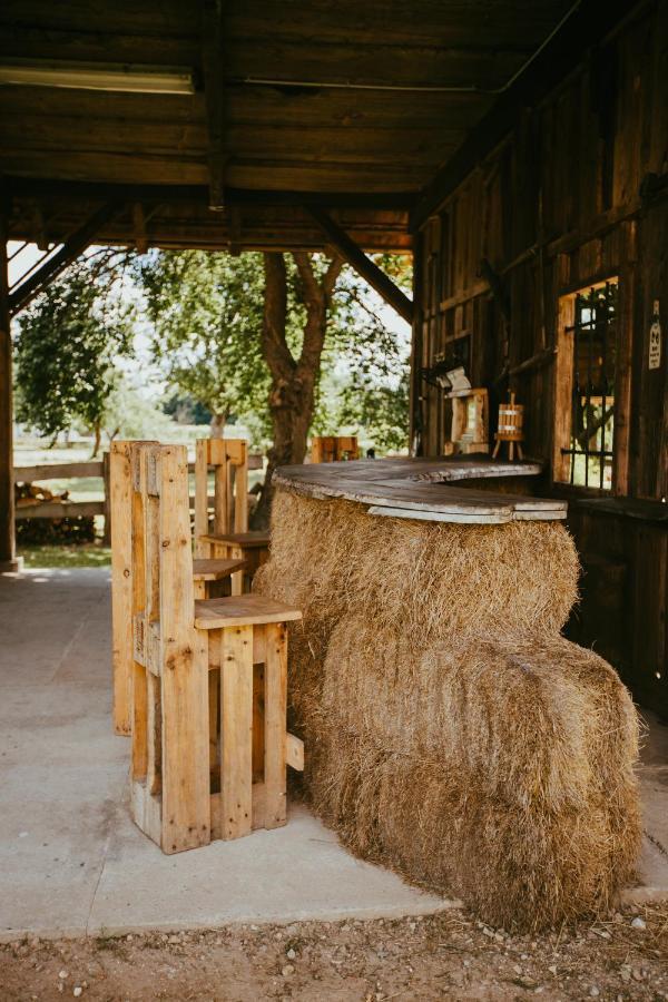 Treehouse Drevesna Hiska Strkovo Gnezdo Ranc Jures Hotel Ljutomer Ngoại thất bức ảnh