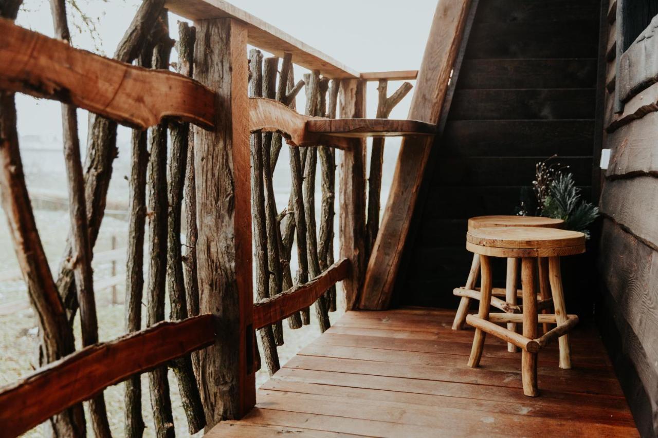 Treehouse Drevesna Hiska Strkovo Gnezdo Ranc Jures Hotel Ljutomer Ngoại thất bức ảnh