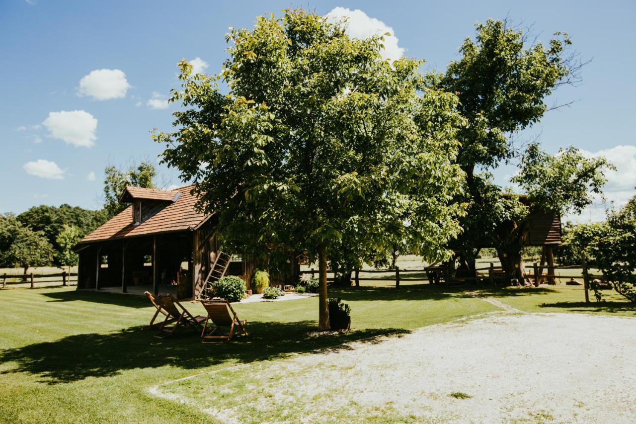 Treehouse Drevesna Hiska Strkovo Gnezdo Ranc Jures Hotel Ljutomer Ngoại thất bức ảnh