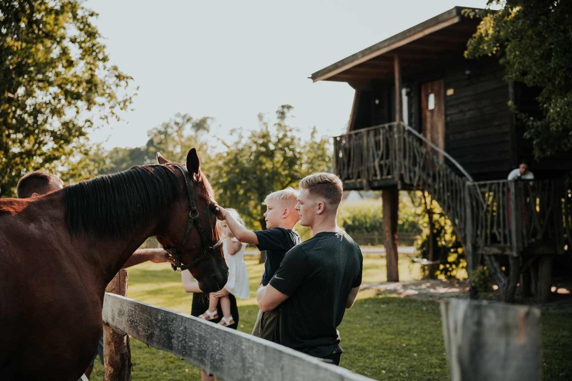 Treehouse Drevesna Hiska Strkovo Gnezdo Ranc Jures Hotel Ljutomer Ngoại thất bức ảnh