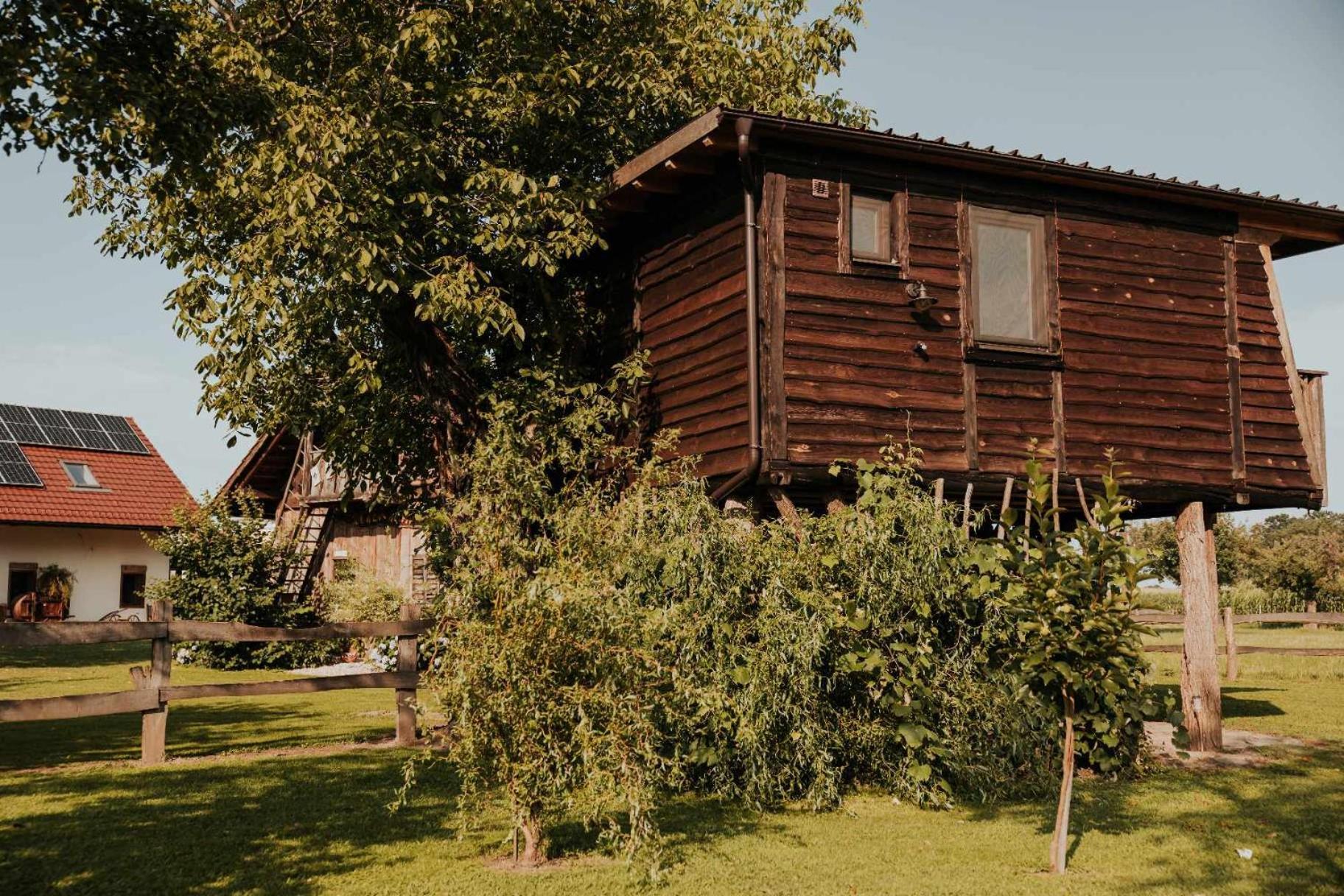 Treehouse Drevesna Hiska Strkovo Gnezdo Ranc Jures Hotel Ljutomer Ngoại thất bức ảnh