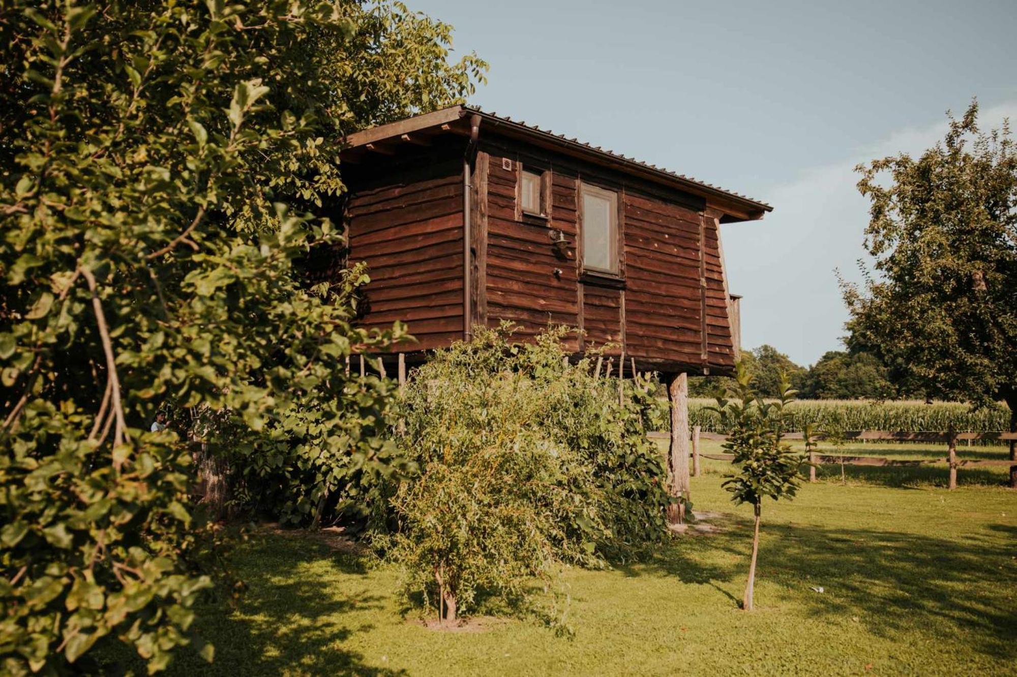 Treehouse Drevesna Hiska Strkovo Gnezdo Ranc Jures Hotel Ljutomer Ngoại thất bức ảnh