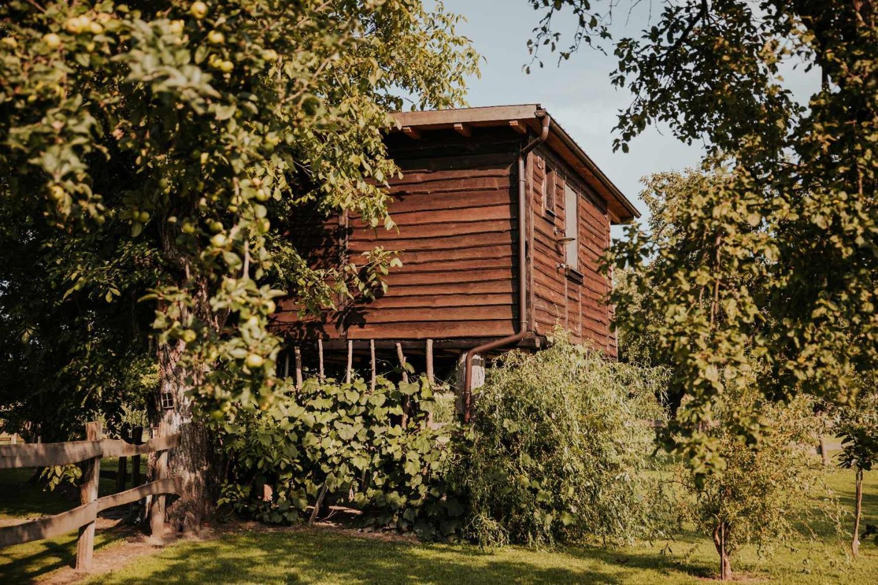 Treehouse Drevesna Hiska Strkovo Gnezdo Ranc Jures Hotel Ljutomer Ngoại thất bức ảnh